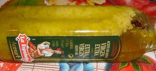 Как хранить оливковое масло: советы по выбору места и посуды