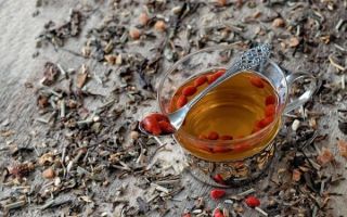 Чай с ягодами годжи – приятный вкус и польза для фигуры
