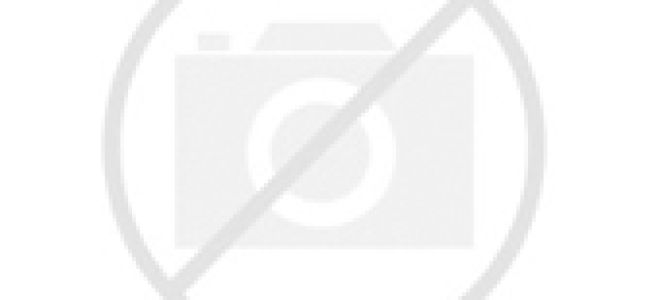 Джем из жимолости: лучшие десерты по простым рецептам