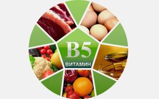 Пантотеновая кислота: что такое витамин b5 для чего он нужен человеку, формула и роль вещества в организме