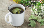 Чай из листьев смородины — польза и вред ароматного настоя