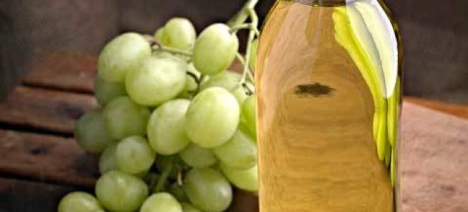 Масло виноградной косточки – залог вашего здоровья и красоты