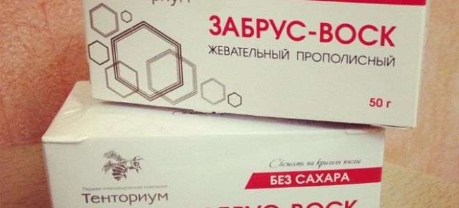 Пчелиный воск – все о натуральном продукте пчеловодства