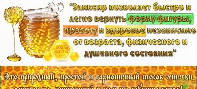 Клеверный мёд – волшебный эликсир здоровья и красоты