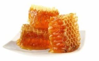 Как растопить мед – мифы и допустимые способы