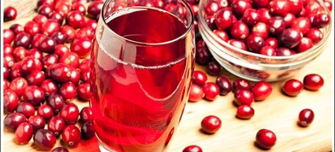 Чай с клюквой — рецепты молодости и здоровья