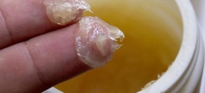 Настойка каштана на водке вернет вам здоровье и позаботится о фигуре!