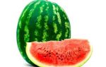 Арбуз: полезные свойства, калорийность ягоды и что входит в её состав, с какими болезнями может справиться
