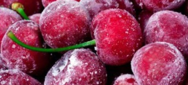 Вишня – полезные свойства и показания к применению