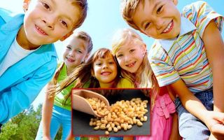 Кедровые орехи детям: с какого возраста можно употреблять в пищу, польза и вред от продукта