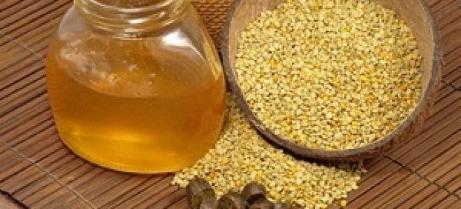 Маточное пчелиное адсорбированное сухое молочко: особенности применения