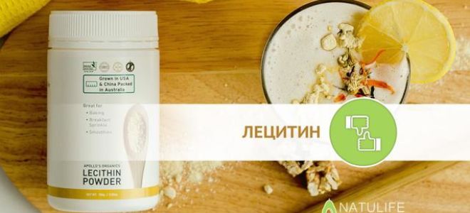 Лецитин: польза и вред для организма и возможные побочные эффекты