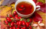 Чай из крапивы – польза и вред напитка