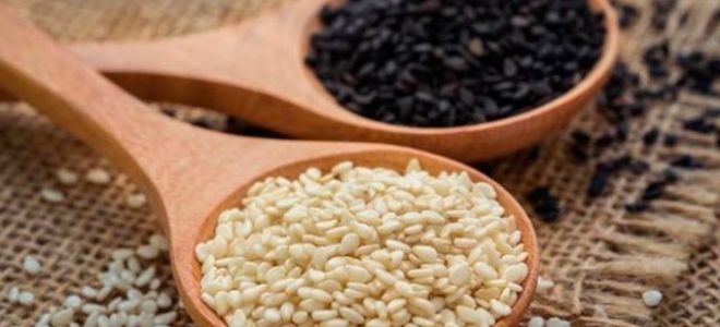 Кунжут: полезные свойства и противопоказания для женщин и мужчин, как правильно употреблять и можно ли при грудном вскармливании