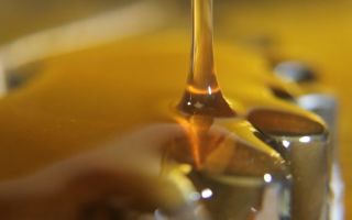 Мед при желчнокаменной болезни — тайны эффективного лечения
