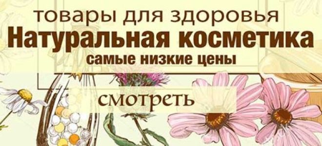 Настойка овса – волшебное средство для красоты и здоровья