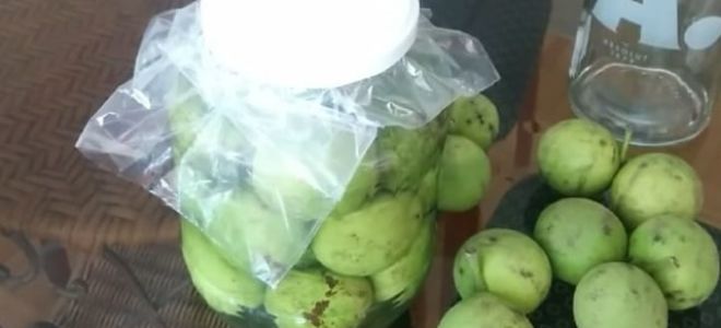Черный орех: какие полезные свойства он скрывает и есть ли противопоказания к применению