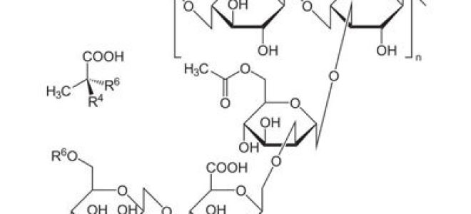 Ксантановая камедь е415 – последствия для организма