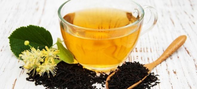 Экстракт зеленого чая: естественное средство для похудения, которое можно легко купить, как правильно принимать добавку для заметного эффекта