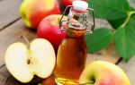 Яблочный уксус с медом – уникальный целительный тандем