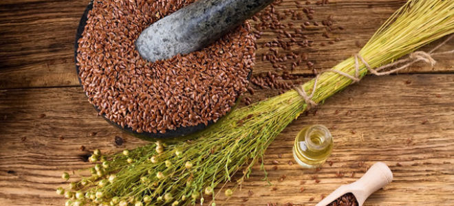 Кисель из льна и цикория – правила приготовления и польза напитка