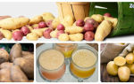 Картофельный сок — польза и вред для здоровья