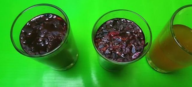 Когда собирать барбарис: время для заготовки разных частей растения