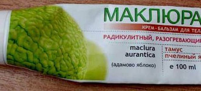 Адамово яблоко маклюра: химический состав и лечебные свойства