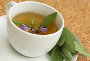 Можно ли пить шалфей как чай —польза лекарственного растения