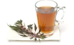 Успокаивающий чай —рецепты для крепких нервов