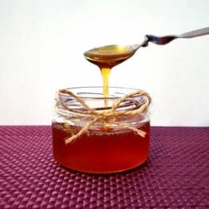 Чернокленовый мед: полезные свойства и уникальный состав