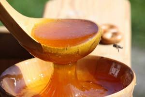 Майский мед: вместо тысячи лекарств
