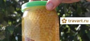 Липовый мед: основные свойства и показания к применению