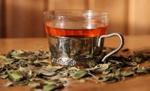 Брусничный чай — польза и лучшие рецепты