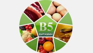 Пантотеновая кислота: что такое витамин b5 для чего он нужен человеку, формула и роль вещества в организме
