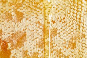 Пчелиный забрус – применение восковой пленки