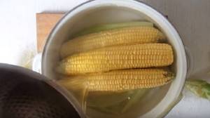 Как варить кукурузу – лучшие методики