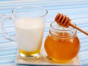Мед при бронхите: рецепты, польза и противопоказания
