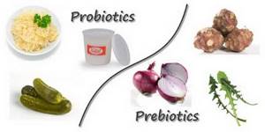 Пробиотики и пребиотики: отличия, польза и особенности применения