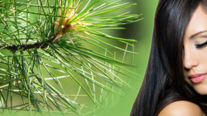 Кедровое масло для волос: тонкости применения, маски и другие средства для бровей и ресниц