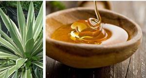Сок агавы – эликсир здоровья и красоты