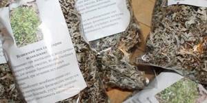 Исландский мох от кашля: как заваривать и правильно принимать, можно ли употреблять детям