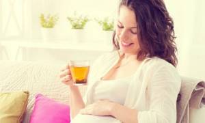 Брусника при беременности – о невероятной пользе и возможном вреде