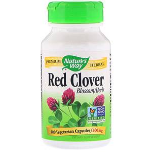 Клевер красный – лечебные свойства и противопоказания растения