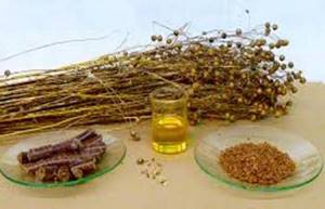 Льняное масло: польза и возможный вред для организма, противопоказания для приема, калорийность и содержание витаминов