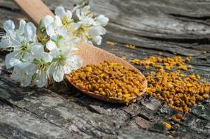 Пчелиная пыльца: полезные свойства уникального продукта пчеловодства
