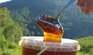 Таежный мед – воссоединение вкуса и пользы в одном продукте