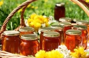 Мед молочай: полезные свойства и качества