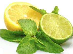 Фрукт лайм: чем он отличается о лимона, полезные свойства плодов и их применение