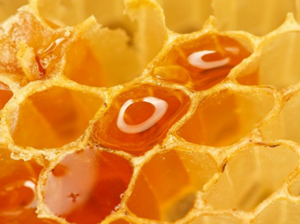 Цветочный мед – непревзойденный природный целитель